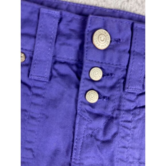 True Religion Womens Purple Mini Skirt Size 26 Y2K Rare NWOT Cotton USA Made - Picture 2 of 12